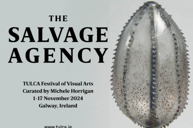 Graphic of The Selvage Agency at Tulca Festival on the Galway Arts Centre Web Page.